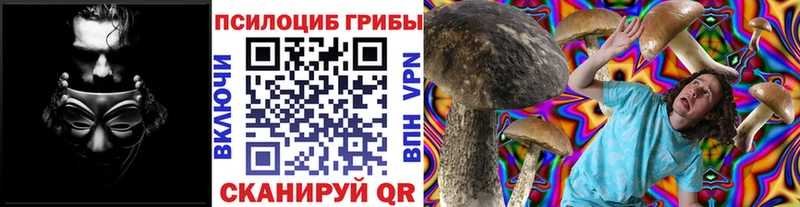 Купить закладки  Ейск  Галлюциногенные грибы Psilocybine cubensis 